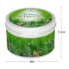 Scentsicles Christmas Scented Candle Soy Blend 25 Hour Burn Time - White Winter Fir