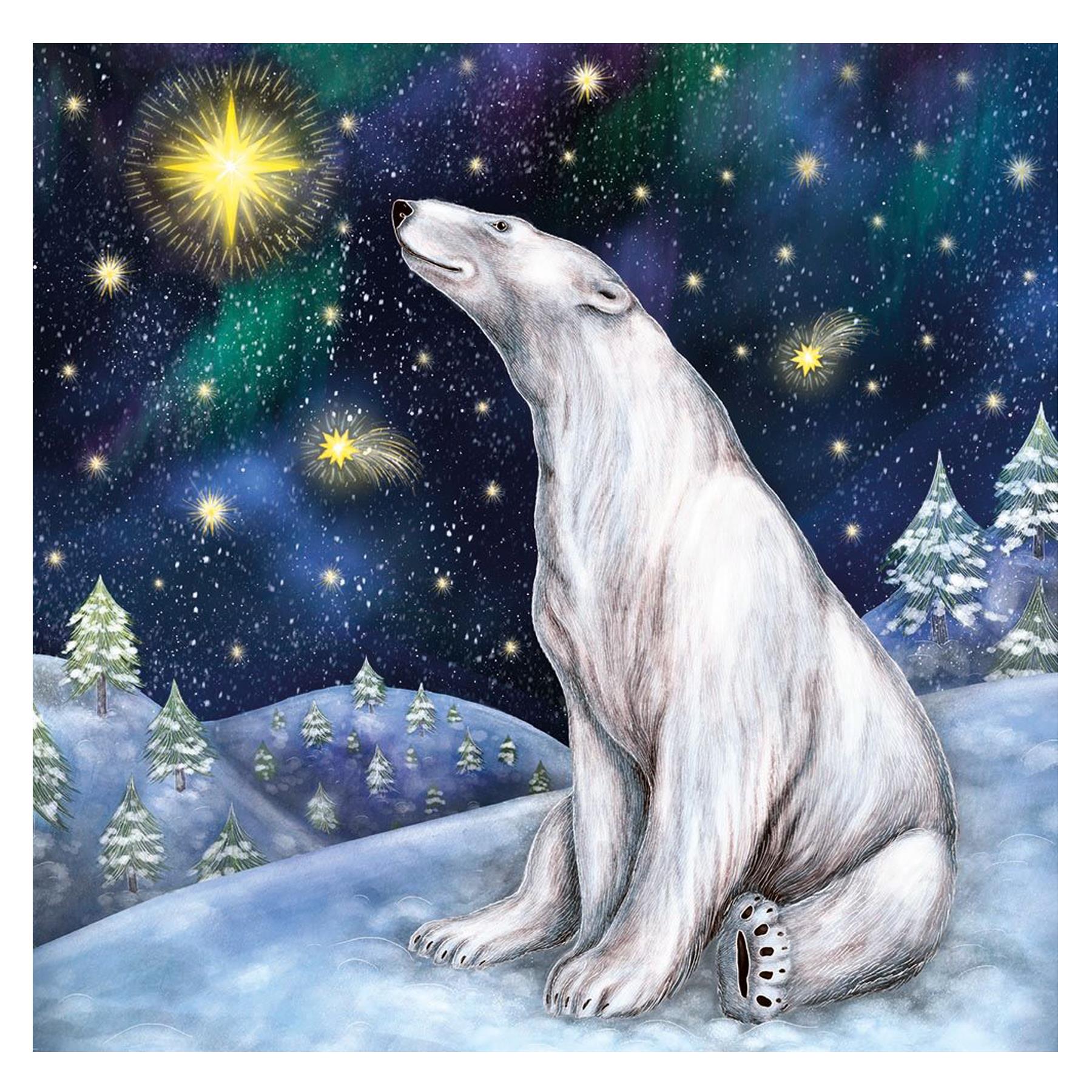 Box of 5 Christmas Cards 100% Recyclable - Svalbard Star with Polar Bear