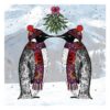 image441091367.jpg Box of 5 Christmas Cards 100% Recyclable - Penguins