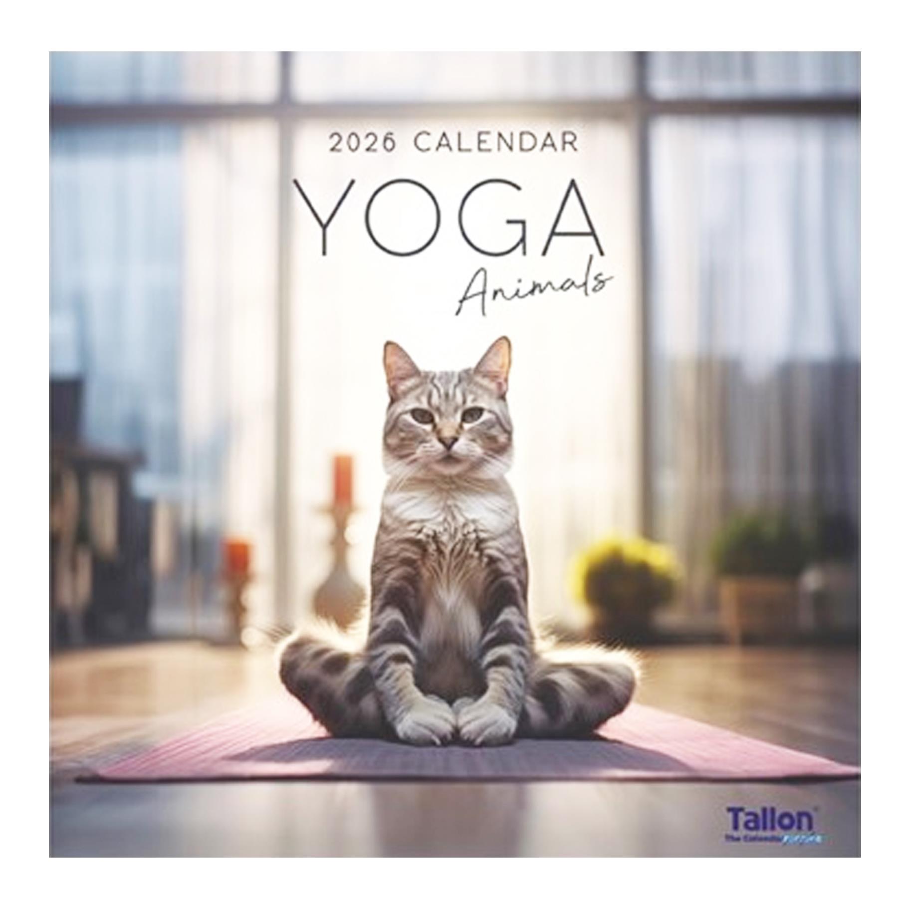 2026 16 Month Calendar Square Wall Hanging Yoga Animals - Cat Cover