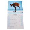 2026 16 Month Calendar Square Wall Hanging Yoga Animals - Cat Cover
