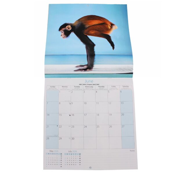 2026 16 Month Calendar Square Wall Hanging Yoga Animals - Cat Cover