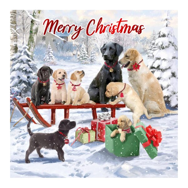 Pack of 12 Christmas Cards Square 14cm x 14cm with Envelopes - Christmas Dogs