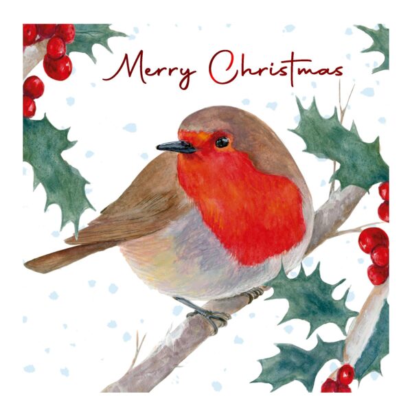 Pack of 12 Christmas Cards Square 14cm x 14cm with Envelopes - Robin Design