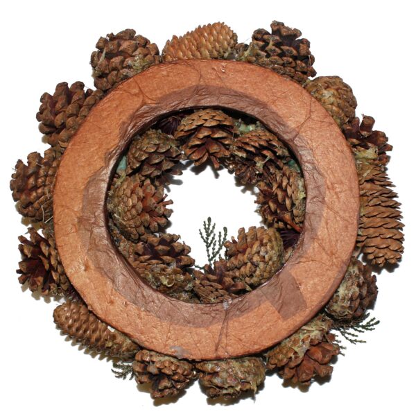 Christmas Artificial Wreath with Pine Cones 30cm Gold with Apples